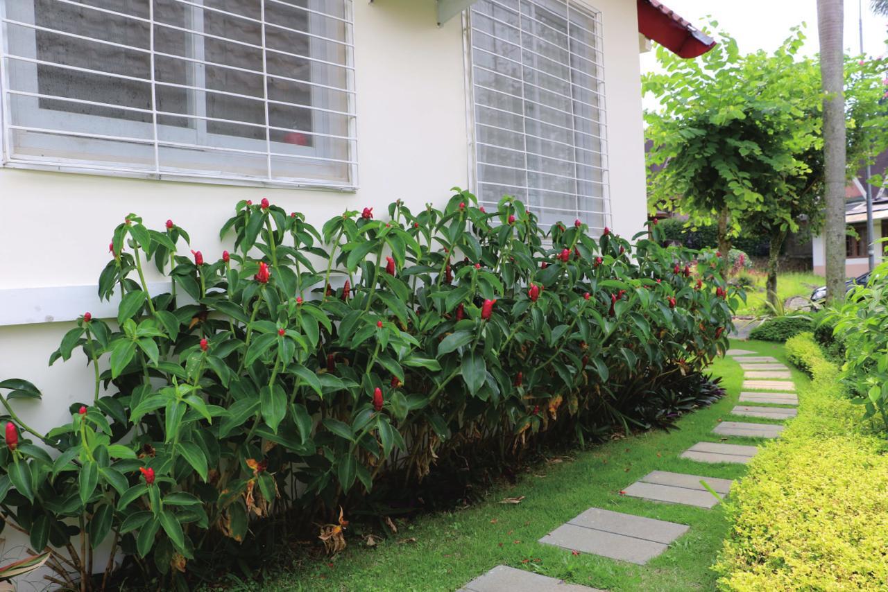 Diyar Villas Puncak NB3/3 Luaran gambar